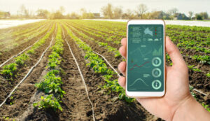 Alai Secure - Vertical IoT: Sector Agro