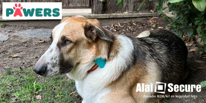 Alai Secure - Noticias: GPS y salud: Pawers, la App que localiza y cuida de tu mascota