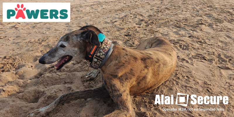 Alai Secure - Noticias: GPS y salud: Pawers, la App que localiza y cuida de tu mascota